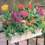 Poly-Pro Flower Box/Liner 18″ – Black